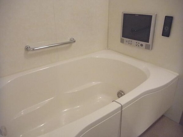 カスタリア浅草橋の物件内観写真